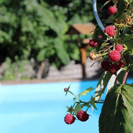 Le Chat Botte - Vankantiehuis In Languedoc-Roussillion Bed & Breakfast Routier Exterior photo