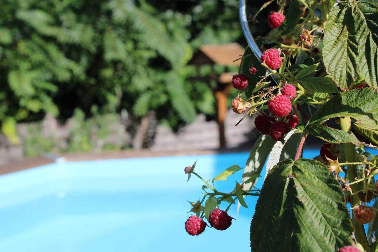 Le Chat Botte - Vankantiehuis In Languedoc-Roussillion Bed & Breakfast Routier Exterior photo